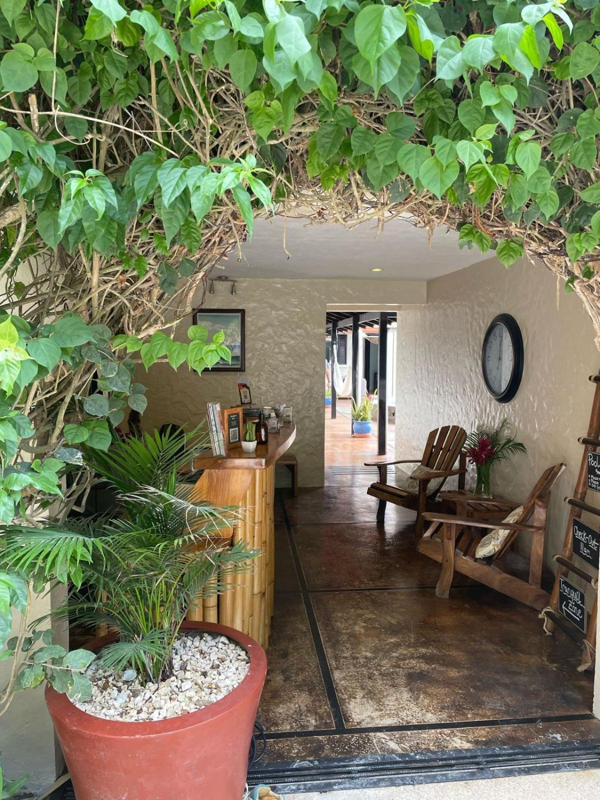 Отель Casa Marbella Playa Santa Teresa  Экстерьер фото